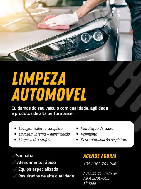 Trabalho Real Dani Limpa Auto