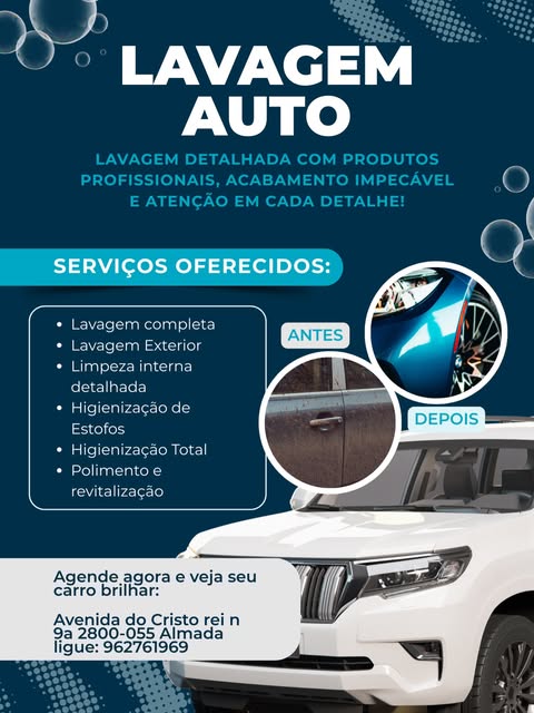 Trabalho Real Dani Limpa Auto